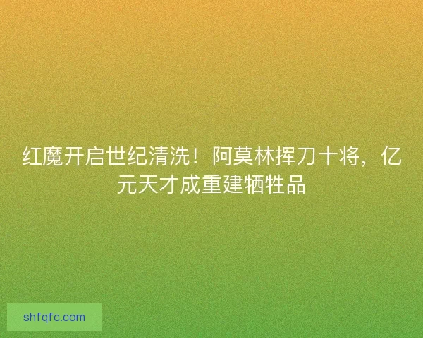 红魔开启世纪清洗！阿莫林挥刀十将，亿元天才成重建牺牲品