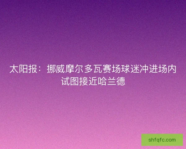 太阳报：挪威摩尔多瓦赛场球迷冲进场内试图接近哈兰德